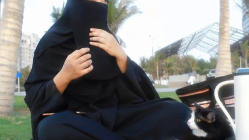 娱乐吃瓜君御姐